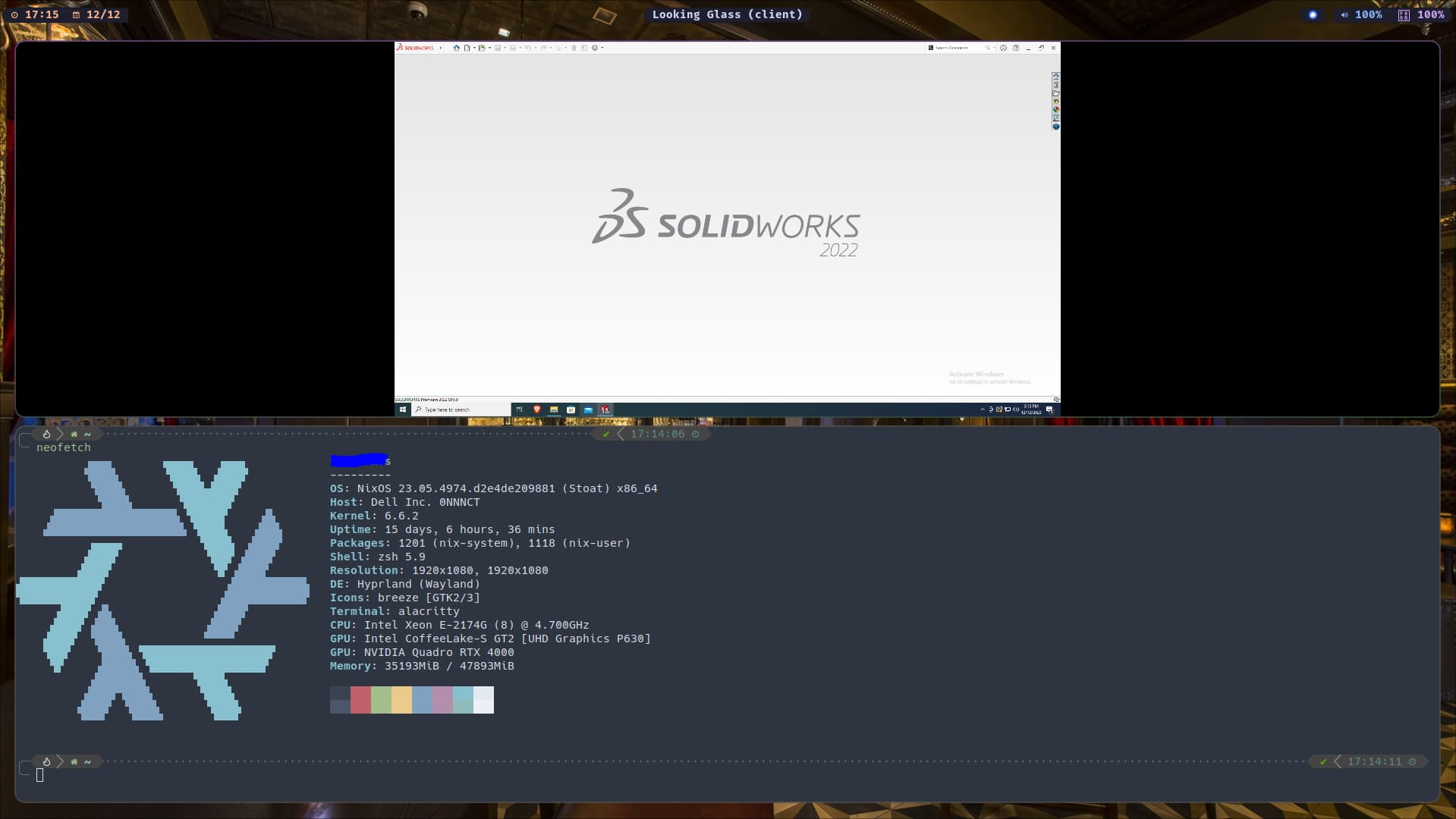 Solidworks running on NixOS